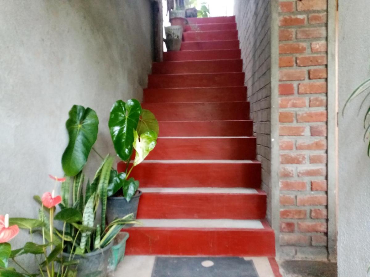 Nimsara Homestay 엘라 외부 사진