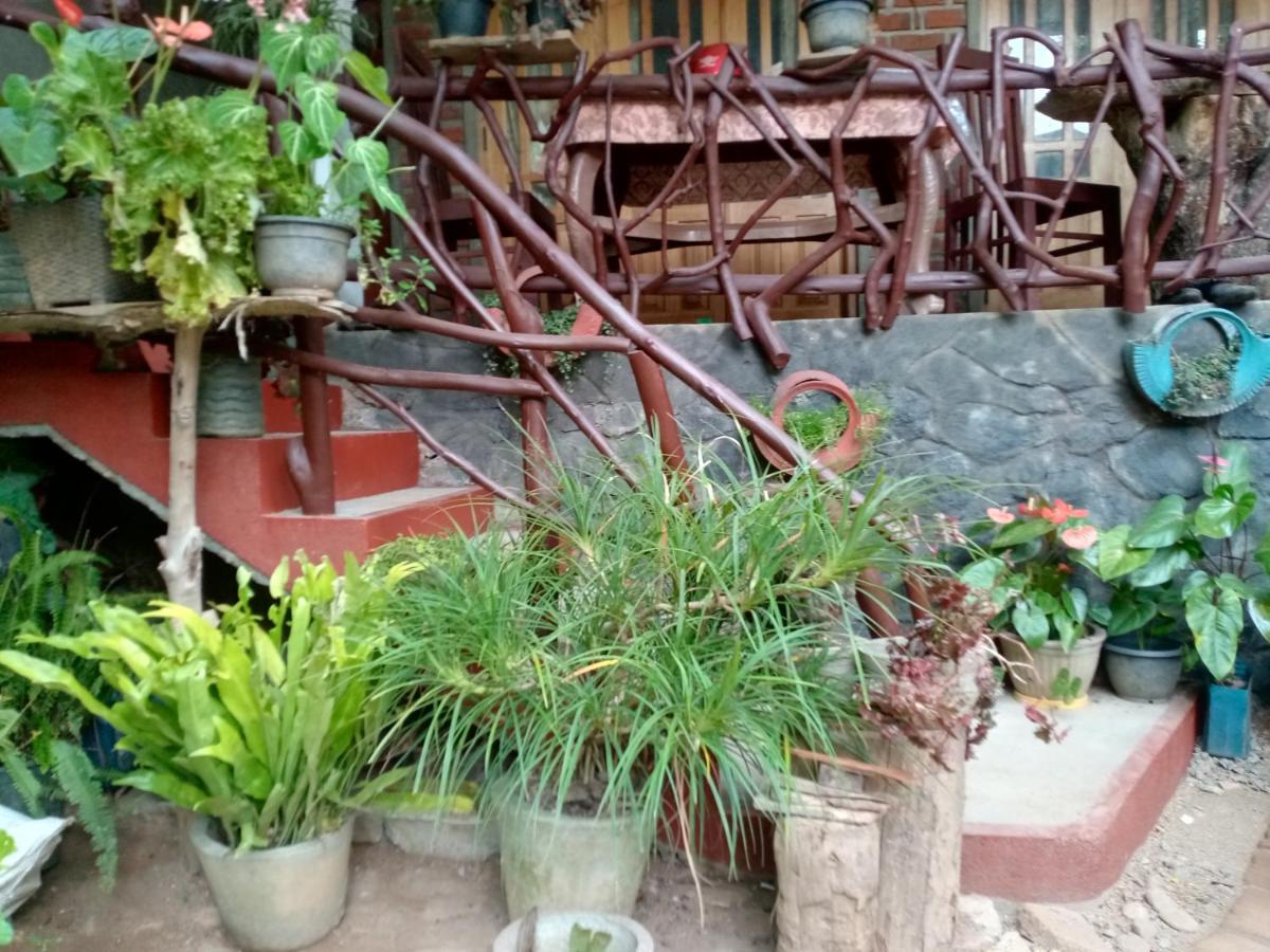 Nimsara Homestay 엘라 외부 사진