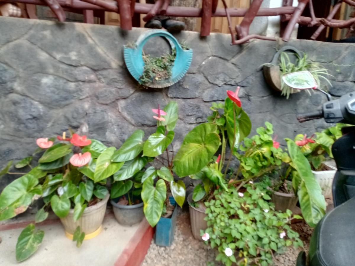 Nimsara Homestay 엘라 외부 사진