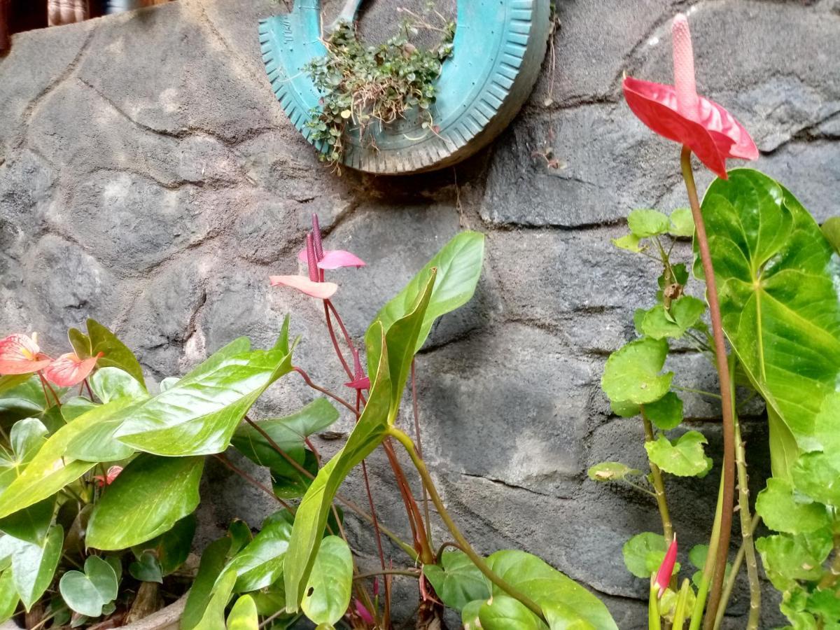 Nimsara Homestay 엘라 외부 사진