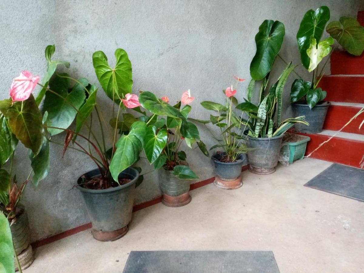 Nimsara Homestay 엘라 외부 사진