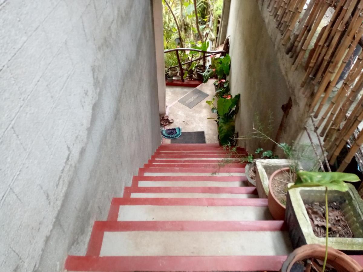 Nimsara Homestay 엘라 외부 사진